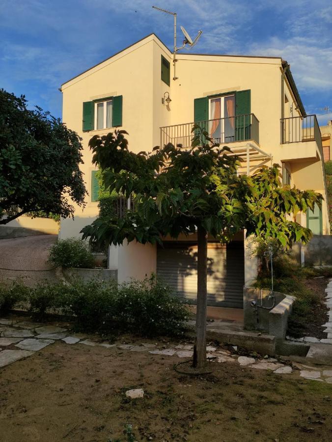 Bougainvillea Marina di Modica